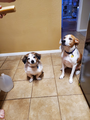 Pet Supply Store «PetSmart», reviews and photos, 6204 W Park Blvd, Plano, TX 75093, USA