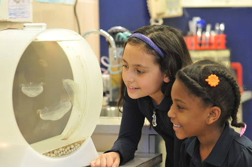 Aquarium «Jellyfish Art», reviews and photos, 4801 Johnson Rd Suite 10, Coconut Creek, FL 33073, USA