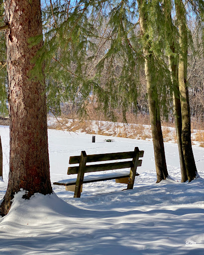 Nature Preserve «Beechwood Farms Nature Reserve», reviews and photos, 614 Dorseyville Rd, Pittsburgh, PA 15238, USA