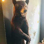 Photo n° 8 de l'avis de Maxime.A fait le 13/05/2018 à 08:07 pour L'Ours à Vincennes