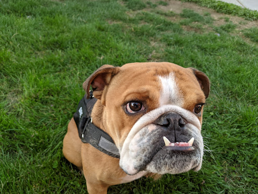 Winery «Sarver Winery», reviews and photos, 25600 Mayola Ln, Eugene, OR 97402, USA