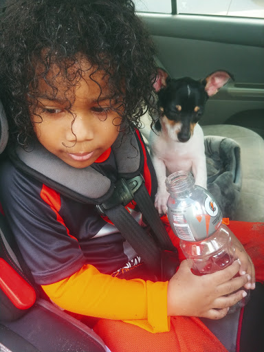 Pet Supply Store «Petco Animal Supplies», reviews and photos, 13127 N Dale Mabry Hwy, Tampa, FL 33618, USA