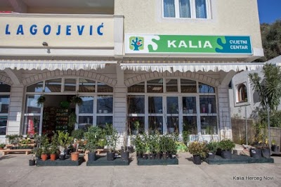 Photos of Vrtni centar KALIA Herceg Novi