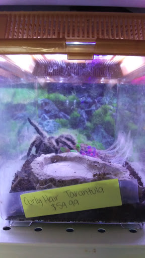 Pet Store «Pet Cove», reviews and photos, 820 E Center St, Kingsport, TN 37660, USA