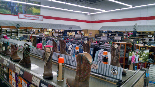 Tractor Supply Co., 7251 Jackson Rd, Ann Arbor, MI 48103, USA, 