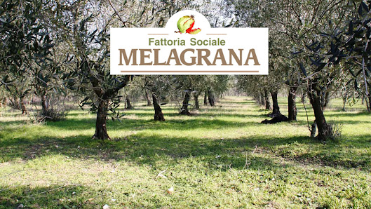 Fattoria Sociale Melagrana Via Terranzano, 12, 82030 Dugenta BN, Italia