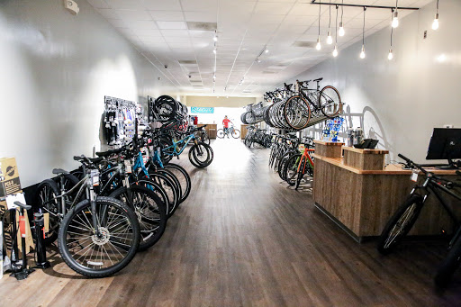 Bicycle Pro Shop