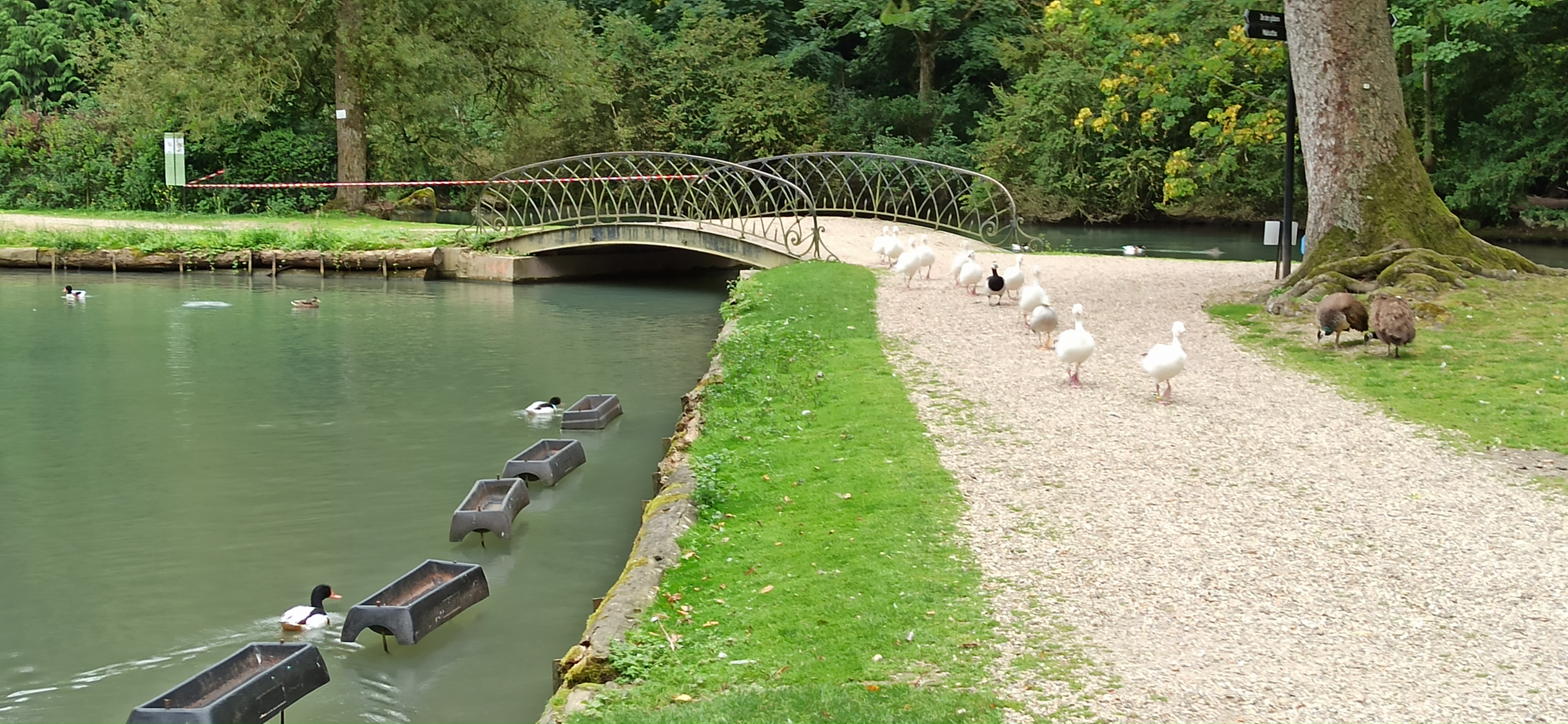 Photo n° 2 de l'avis de julien.t fait le 19/08/2021 à 14:14