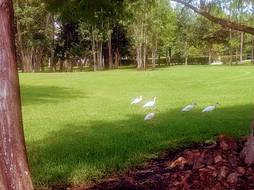 Park «Secret Lake Park», reviews and photos, 200 N Triplet Lake Dr, Casselberry, FL 32707, USA