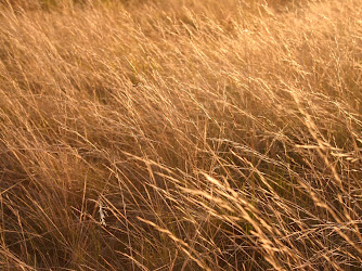 Prairie Treatment Clinic