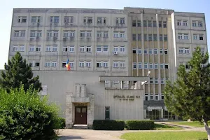 Hospital for Infectious Diseases and Pneumology "Victor Babeş" Craiova image