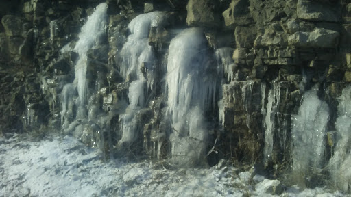 Discount Store «Dollar General», reviews and photos, 4805 Louisville Rd, Salvisa, KY 40372, USA