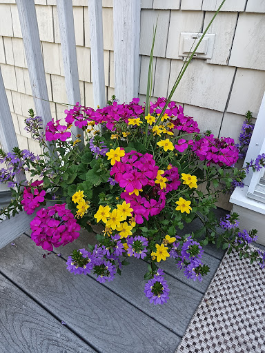 Garden Center «Seasons of New England Gardens & Gifts», reviews and photos, 479 Warwick Ave, Warwick, RI 02888, USA