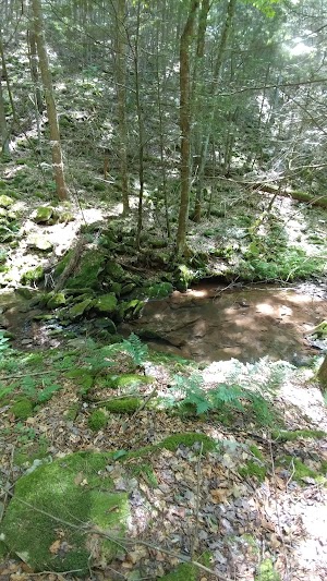Painter Run Trail - photo 10