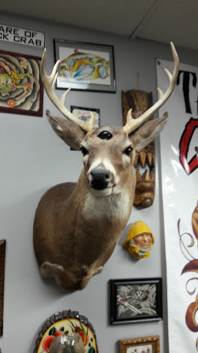 Tattoo Shop «Webbworks Tattoo Studio», reviews and photos, 2067 Pine Ridge Rd, Naples, FL 34109, USA