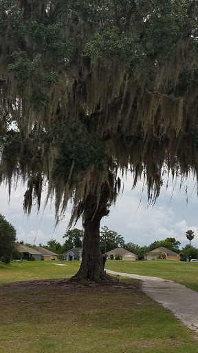 Golf Club «Oaks National Golf Club», reviews and photos, 1500 The Oaks Blvd, Kissimmee, FL 34746, USA