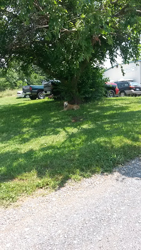 Auto Repair Shop «My Mechanic», reviews and photos, 67 Lloyd Dr, Falling Waters, WV 25419, USA