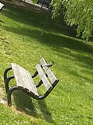 Park «Griggs Park», reviews and photos, 33 Griggs Rd, Brookline, MA 02446, USA