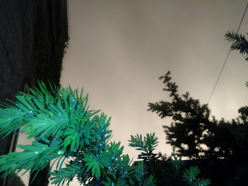 Coffee Shop «Velvet Sky Bakery & Cafe», reviews and photos, 307 Leedom St, Jenkintown, PA 19046, USA