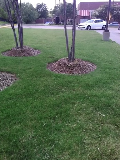 Gas Station «QuikTrip», reviews and photos, 2805 NE Green Oaks Blvd, Grand Prairie, TX 75050, USA