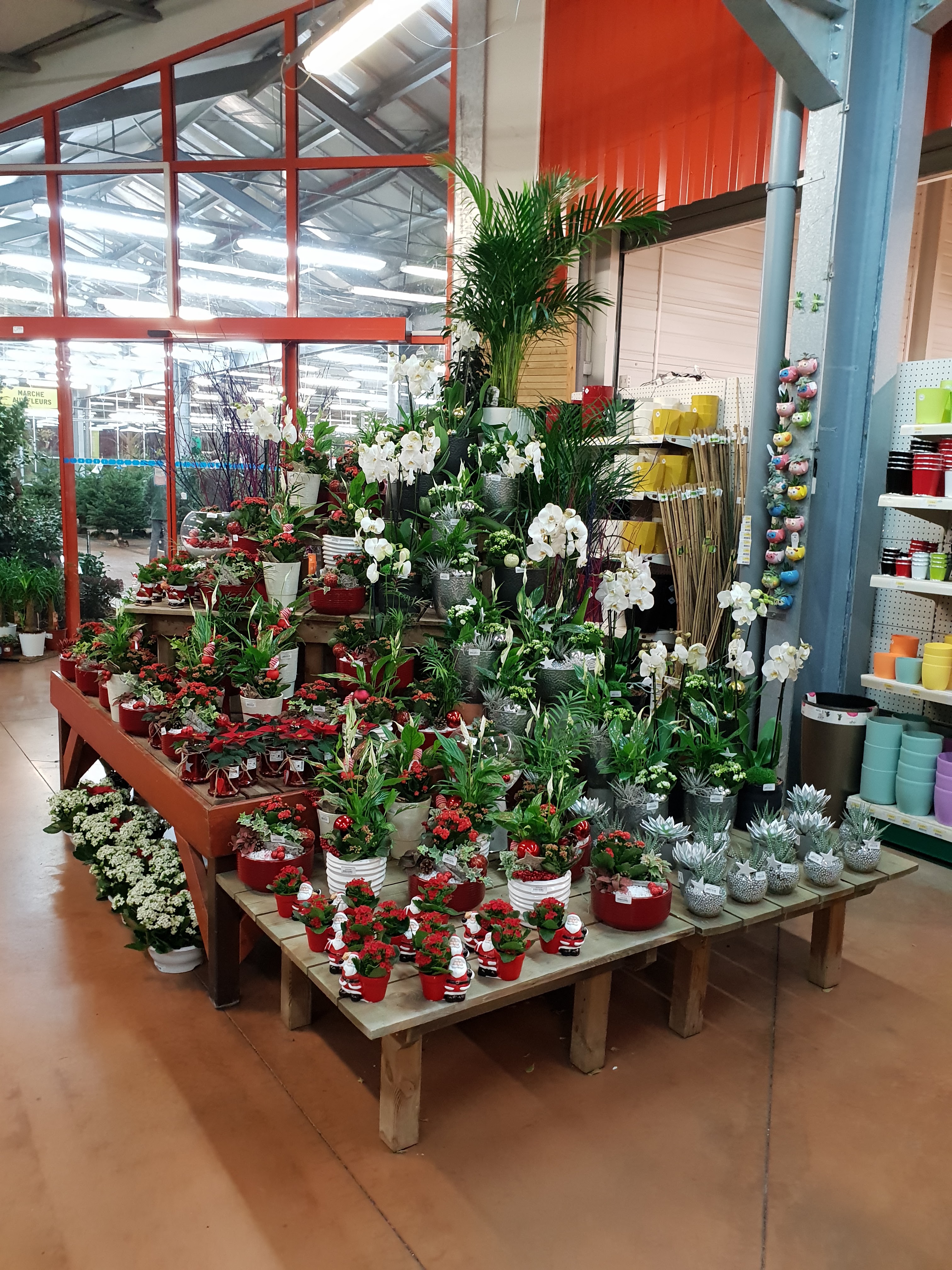 Photo n° 23 de l'avis de Launic. fait le 20/12/2018 à 08:52