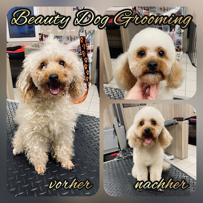 Beauty Dog Grooming