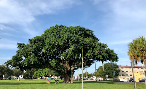 Park «Griffing Park», reviews and photos, 12220 Griffing Blvd, North Miami, FL 33161, USA