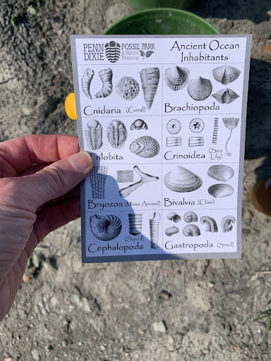 Nature Preserve «Penn Dixie Fossil Park & Nature Reserve», reviews and photos, 4050 North St, Blasdell, NY 14219, USA