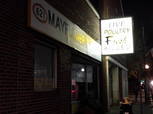 Butcher Shop «Mayflower Poultry Co», reviews and photos, 621 Cambridge St, Cambridge, MA 02141, USA