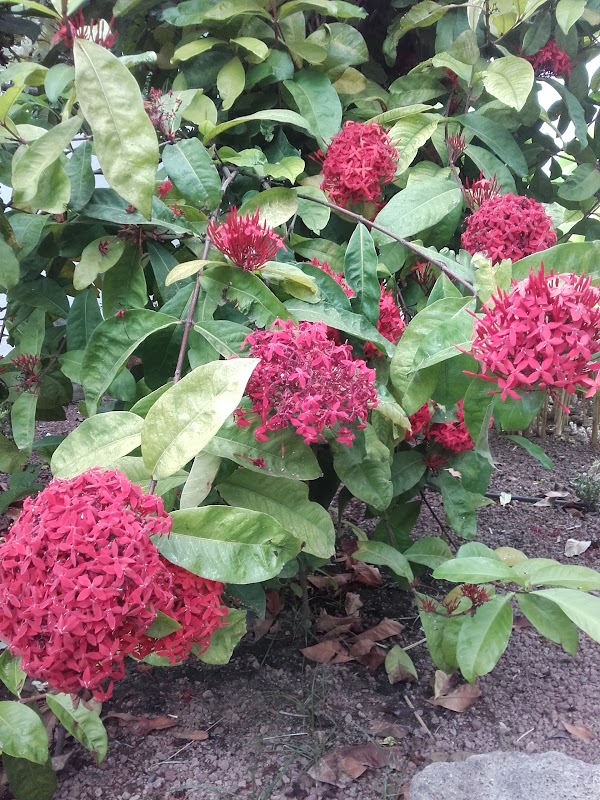 Imagen de Tu Jardin Garden Center (20 de 20)