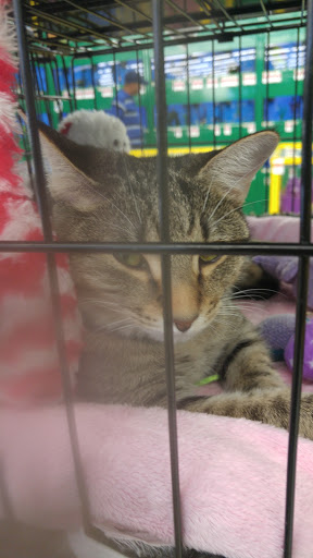 Pet Supply Store «Pet Supplies Plus», reviews and photos, 4923 Sheridan St, Hollywood, FL 33021, USA