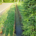 Photo n°3 de l'avis de Andriy.s fait le 30/06/2023 à 11:27 sur le  Hotel Gabarda Carpi à Carpi