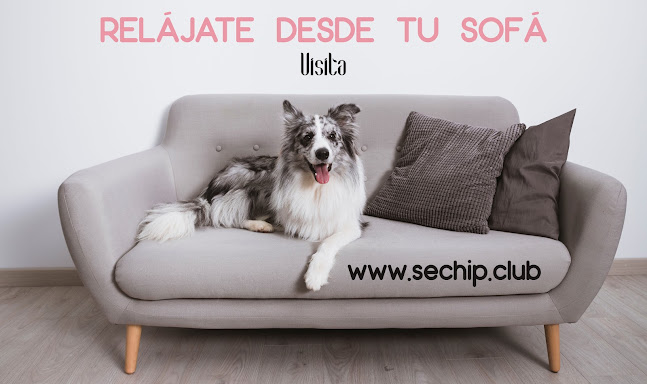 Sé Chip