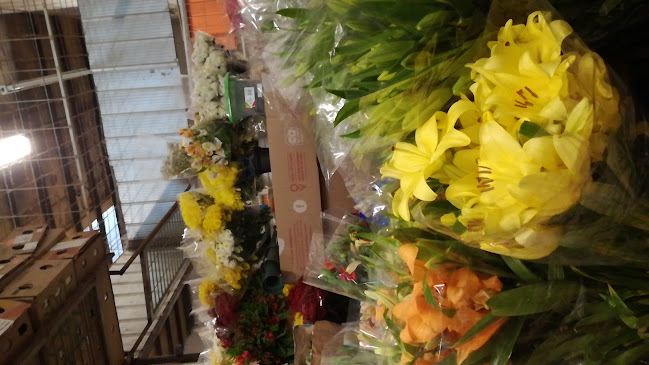 Mercado De Flores