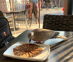 Starbucks Playacar photo