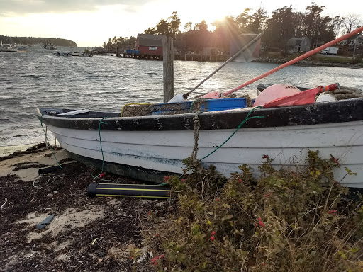 Nature Preserve «Johnson Field Preserve at Mackerel Cove», reviews and photos, 25 Abner Point Rd, Bailey Island, ME 04003, USA