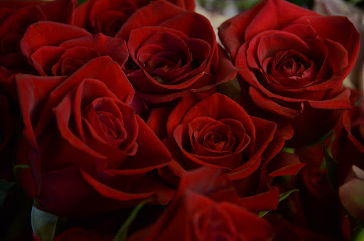 Florist «A Petal For Your Thoughts Florist», reviews and photos, 3308 Kedron Rd, Spring Hill, TN 37174, USA