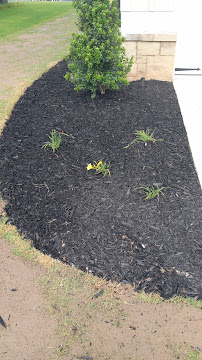 The Sun Leijar - Photo 4 - Car repair in , Sandy Springs