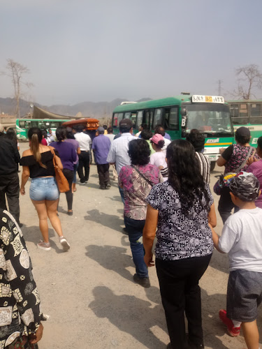 Opiniones de Transportes ETVASA Huertos de Naranjal en Los Olivos - Servicio de transporte