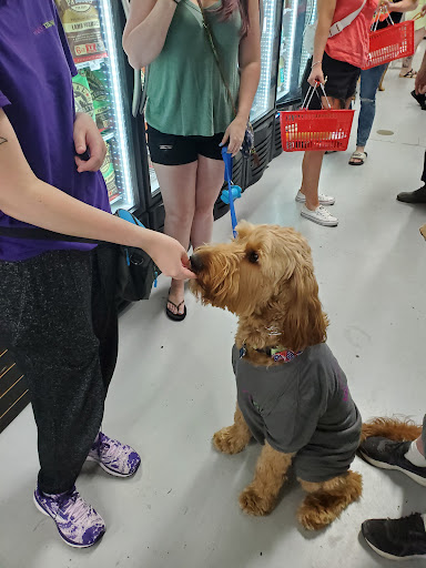 Pet Store «Woofmeow Family Pet Center», reviews and photos, 19 Manchester Rd Suite A, Derry, NH 03038, USA