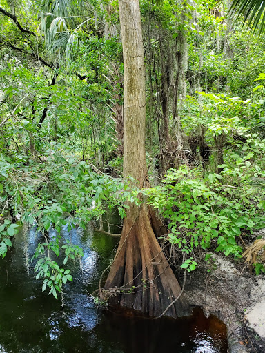 Park «Boyette Springs Park», reviews and photos, 10423-10425 Deepbrook Dr, Riverview, FL 33569, USA