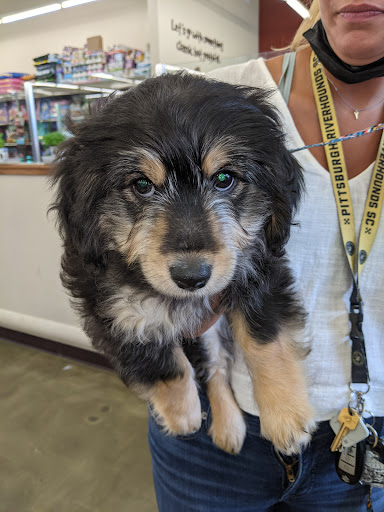 Pet Supply Store «Pet Supplies Plus», reviews and photos, 1155 Washington Pike, Bridgeville, PA 15017, USA