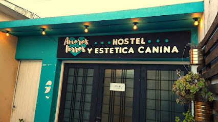 Amores Perros - Hostel y Estetica Canina