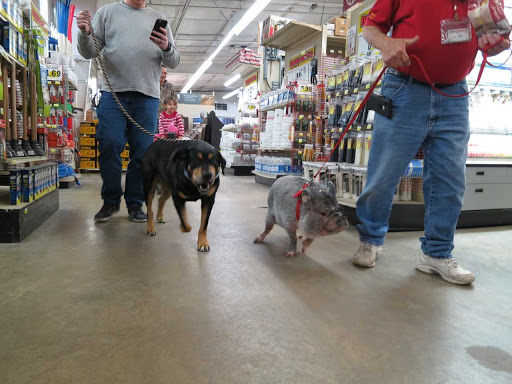 Hardware Store «Buchheit of Sparta», reviews and photos, 1817 N Market St, Sparta, IL 62286, USA