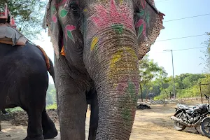 Jaipur Elephant Park image