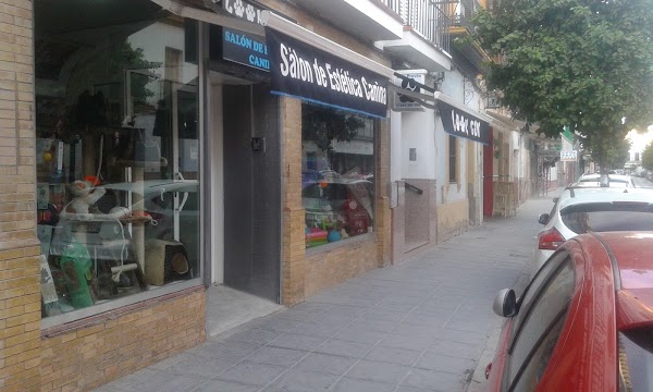 Tienda Perros