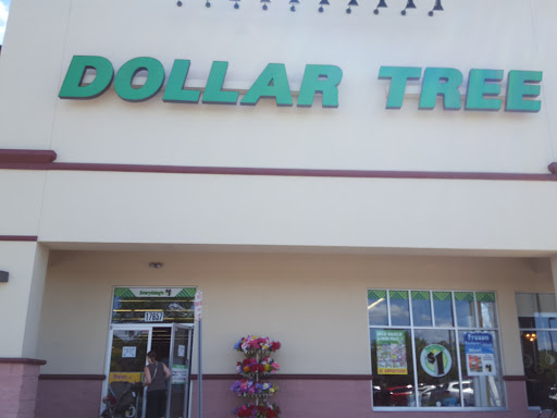 Dollar Store «Dollar Tree», reviews and photos, 17657 Dale Mabry Hwy, Lutz, FL 33548, USA