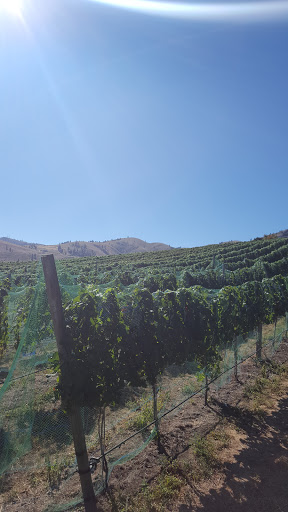 Winery «Tunnel Hill Winery», reviews and photos, 37 US-97 ALT, Chelan, WA 98816, USA