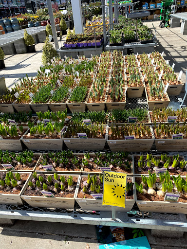 Home Improvement Store «The Home Depot», reviews and photos, 6501 W Broad St, Richmond, VA 23230, USA