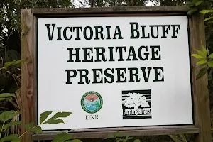 Victoria Bluff Heritage Preserve/Wildlife Management Area image